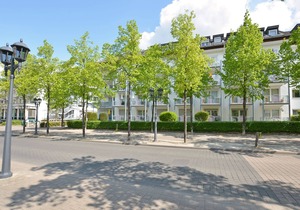 Bright and spacious 2-room apartment in the spa area of ​Bad Kreuznach
