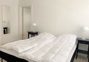 Bright Apartment in the center of Roskilde