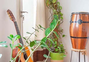 Bright &Modern 3 Bed House w/Patio nr Deptford