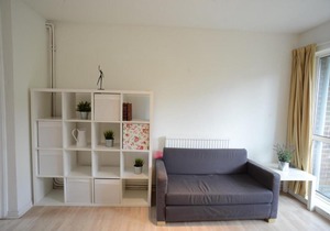 Bright & Spacious Studio Flat in SE8