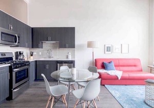 Brilliant 2Br/2Ba apartment on Michigan avenue