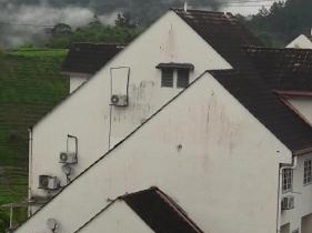 Bukit Tinggi Fuchsia Hillhomes