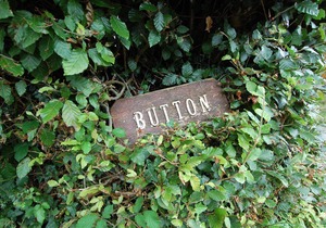 Button Stable