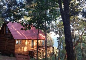 Cabaña en el Bosque de San José del Pacífico 4