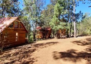 Cabaña en el Bosque de San José del Pacífico 3