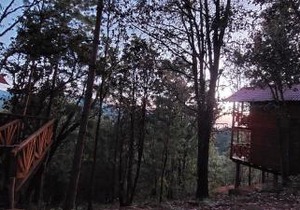 Cabaña en el Bosque de San José del Pacífico 3
