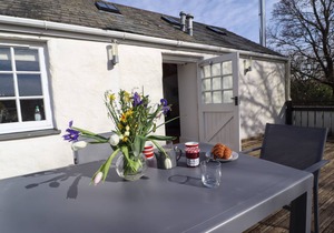 Cabin ∙ 1 bedroom ∙ 2 guests