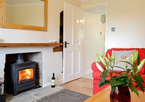 Cabin ∙ 2 bedrooms ∙ 3 guests