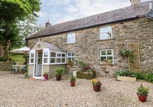 Cabin ∙ 3 bedrooms ∙ 5 guests