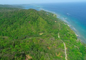 Cabin 4 - Calabash Bight Cabins with Breakfast, Beach & Kayaks