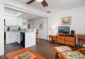 Casa De Emdeko 204 - Air Conditioning! Elevators! REMODELED IN 2019!