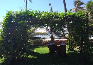Casa de praia em Busca Vida