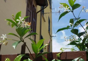 Casa Federica 01015-lt-0331