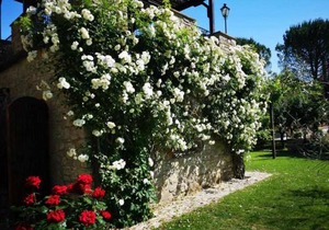 Casale dei Puppi, una bellissima casa rustica