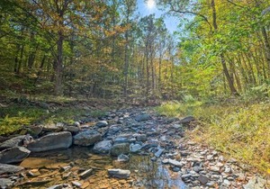 Catskill Mtn Home with Deck about 1 Miles to Zoom Flume!