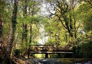 CHALET CONFORT 10 - le clos du moulin