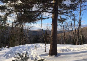 Chalet Nature Laurentides