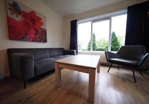 Chalet with 3 bedrooms and a terrace