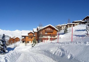 Charmant 3 pièces près des pistes pour 8 personnes à Vallandry, animaux acceptés - FR-1-411-342