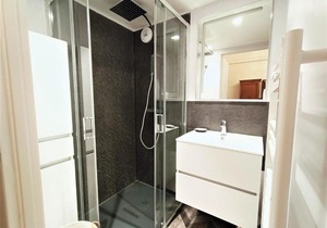 Charmant T1 Bis au cœur d'Aix-les-Bains, à deux pas des thermes, lac et gare, décoré avec soin - FR-1-555-44