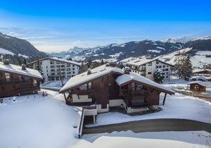 *Charming 1BR Apt Near Ski Slopes & Golf - Sleeps 4, Pet-Friendly, Ski Locker, Garage*