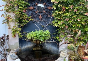 Chester Villa Fremantle