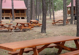 Circle Pine Ranch-"The Real Log Cabin Experience"