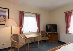 Classy Holiday Home in Deutschneudorf near Glockenwanderweg