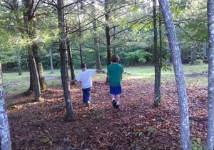 Clear View Retreat: Family Cabin #4
