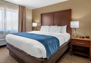 Comfort Inn Kokomo