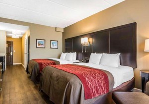 Comfort Inn & Suites near Six Flags
