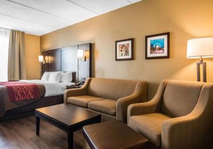 Comfort Inn & Suites near Six Flags