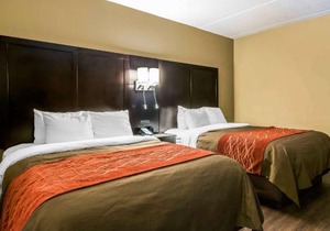 Comfort Inn & Suites near Six Flags