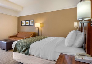 Comfort Inn Trolley Square