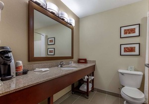 Comfort Suites Delavan - Lake Geneva Area