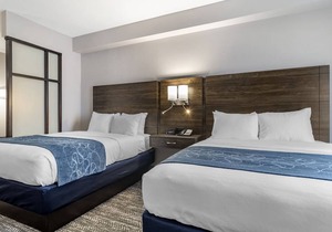 Comfort Suites McDonough Atlanta South