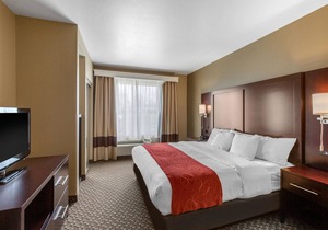 Comfort Suites Seaford
