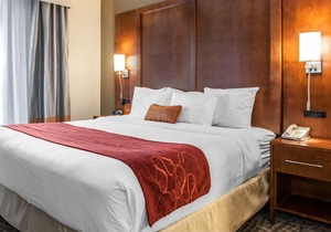 Comfort Suites - Vincennes