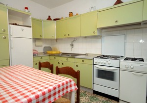 Comfortable and spacious apartment with terrace Lumbarda, Korčula (A-179-a)