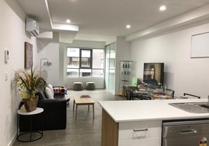 Comfortable, New Homebush Apartment