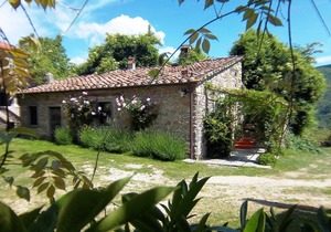 Comfy home in San Godenzo with Lake nearby