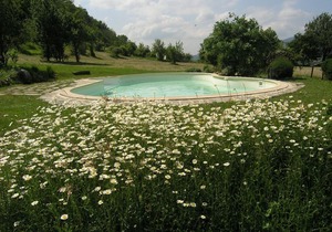 Comfy home in San Godenzo with Lake nearby
