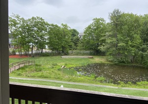 Convenient location to Weirs Beach at Lake Winnipesaukee