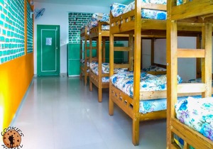 Cookies Hostel