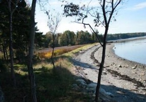 Cottage On The Shore
