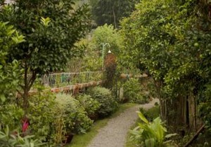 Cottages @ Village