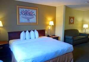 Country Inn & Suites by Radisson, McDonough, GA
