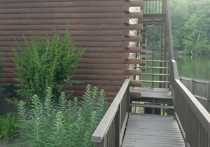 COZY #1 WATERFRONT LOG CABIN --- COZY ACRES LODGE