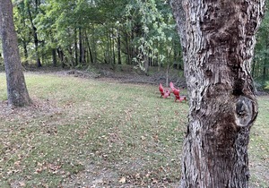 Cozy, Comfy Cabin minutes from Cave Run Lake, I-64, App Harvest, and Morehead.