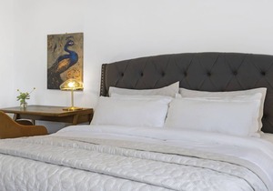 Cozy & Modern King Studio in Historic Mt. Vernon
